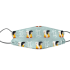 Gemini 1